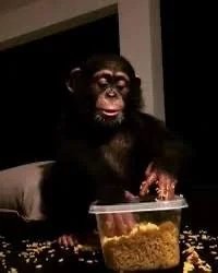 vigopes's tweet image. m n my favourite #stuff