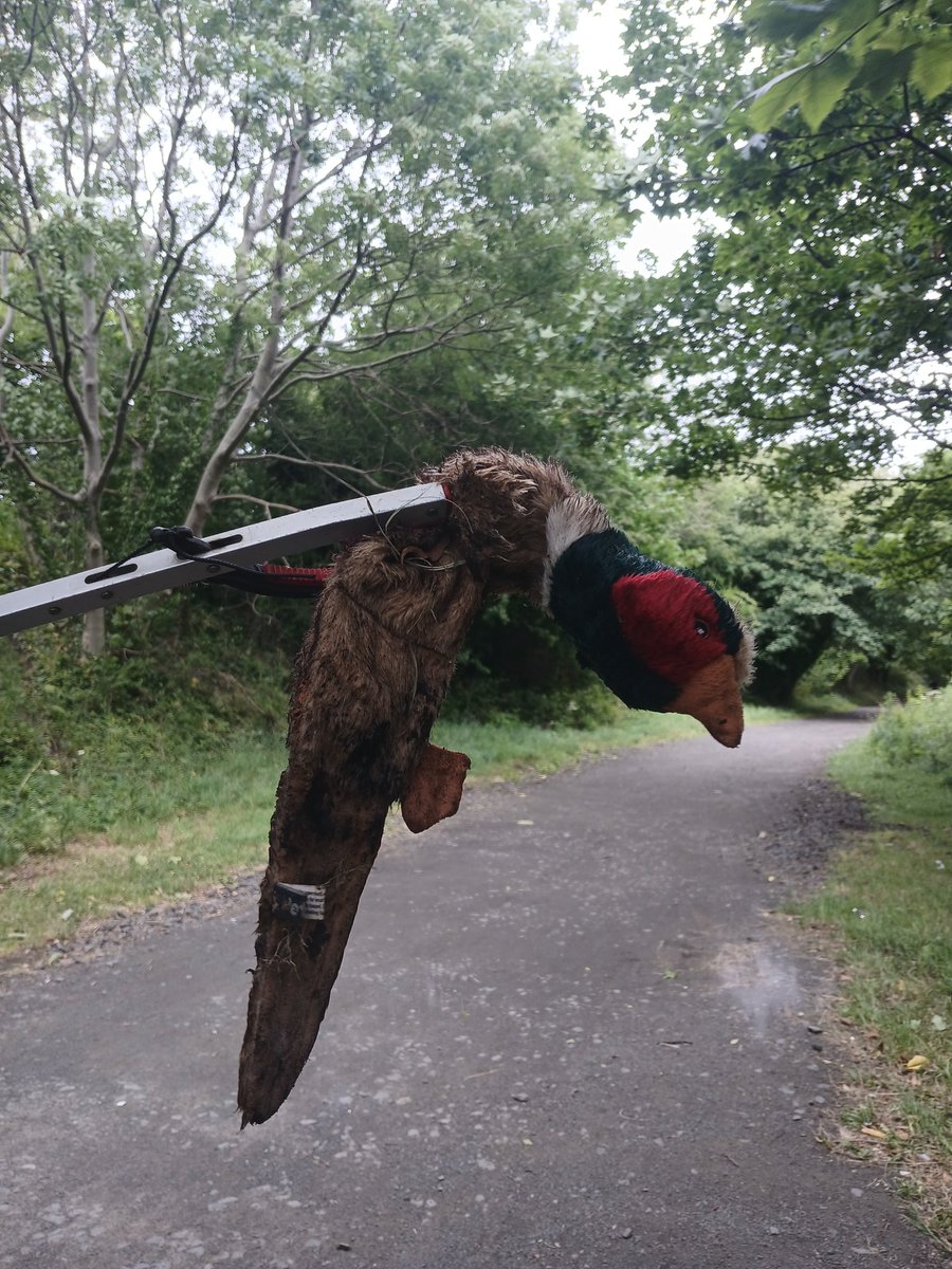 pjayvee38's tweet image. @EllieGirl699 It has been a helluva week! 🤜🤛

I know how the duck feels 🤣

#DoubleShift 💪💪