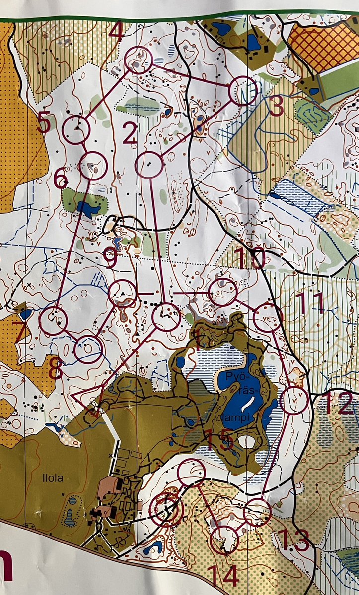 Kolmien Tampereen Iltarastien jälkeen päästiin ensimmäisen kerran tänä kesänä oman seuran rasteille. Ei mitään tyypillistä Peikkometsää tänään Ilolan Arboretumin ympäristössä. Pohja oli yllättävän työläs, maanantaina Pinsiössä helpompaa juostavaa. #suunnistus #Perjantairastit