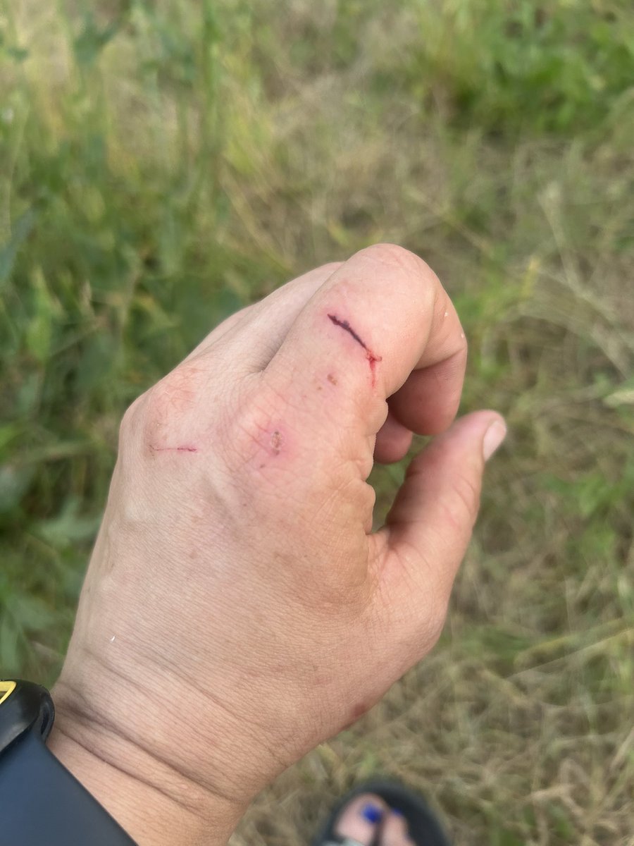 Kiedy w pracy próbujesz ratować życie kotu :(