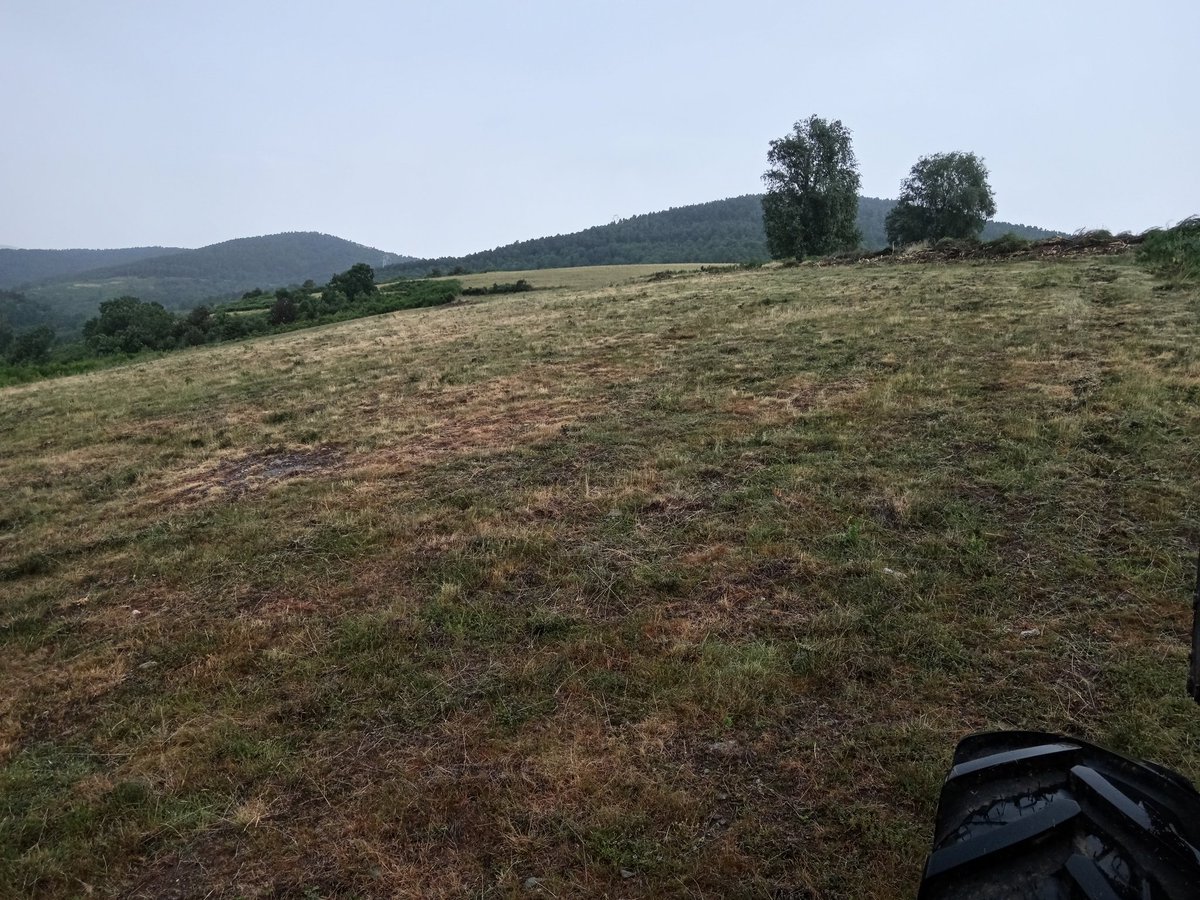 Plou maco a la Gàl·lia dels irreductibles ruralots.
#Rocabrunix
Això serà mel per l'estassada que ja hem fet.
Ja prou que ho diuen els padrins :
Feina feta no té destorb, també diuen que els cansats fan la feina 😩😁
Demà més!
#GestióPastures
#SomPagesiaActiva
#CanyaATot 🚜💪