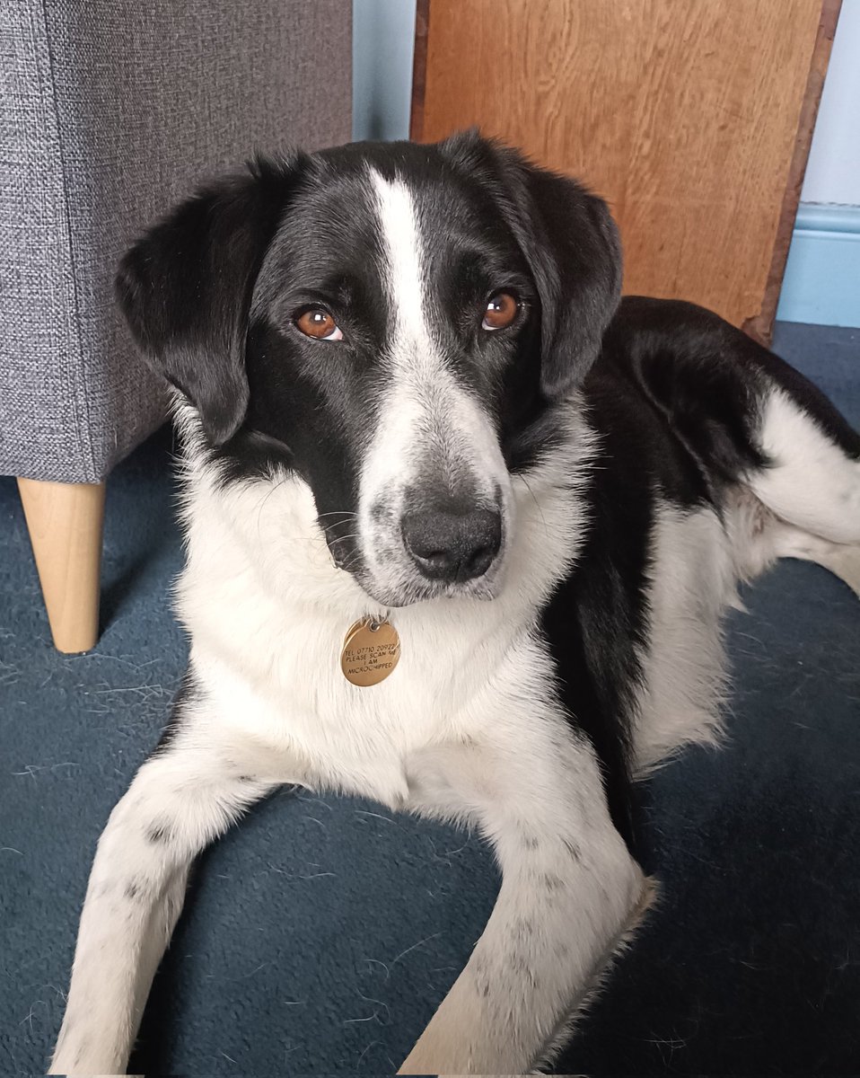 I see you have pizza. I don't think I have had pizza before but think I might like to try it 🤣
