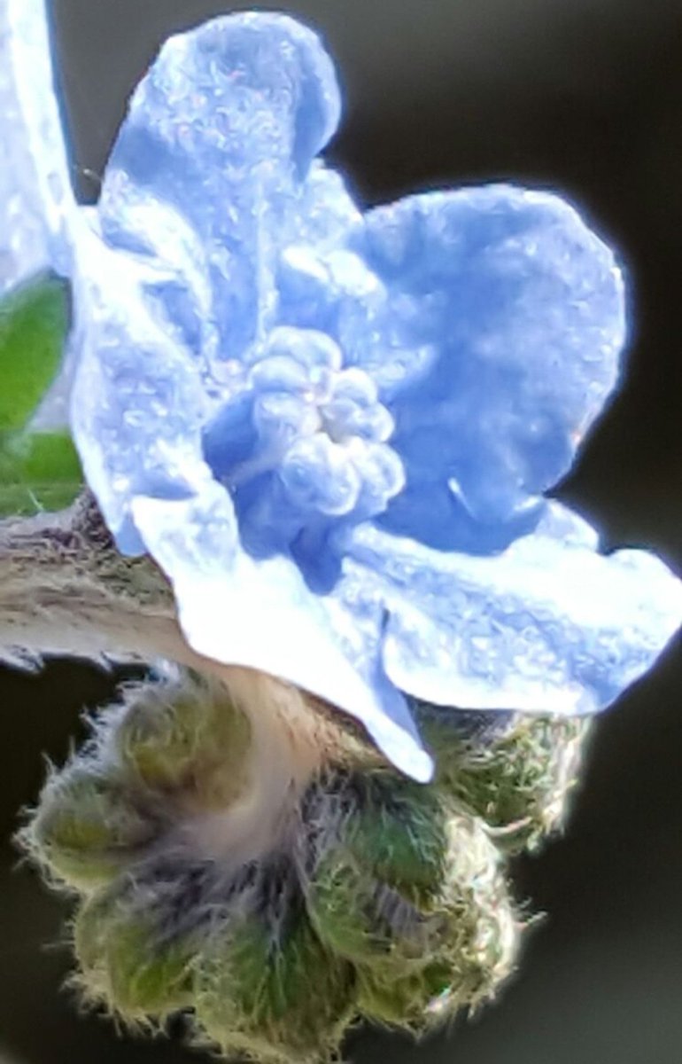 Maria Lea tweet media