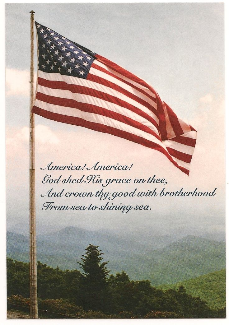 montana77812's tweet image. Happy Independence Day! 😍🇺🇸
Love to all. Stay safe and hydrated.
