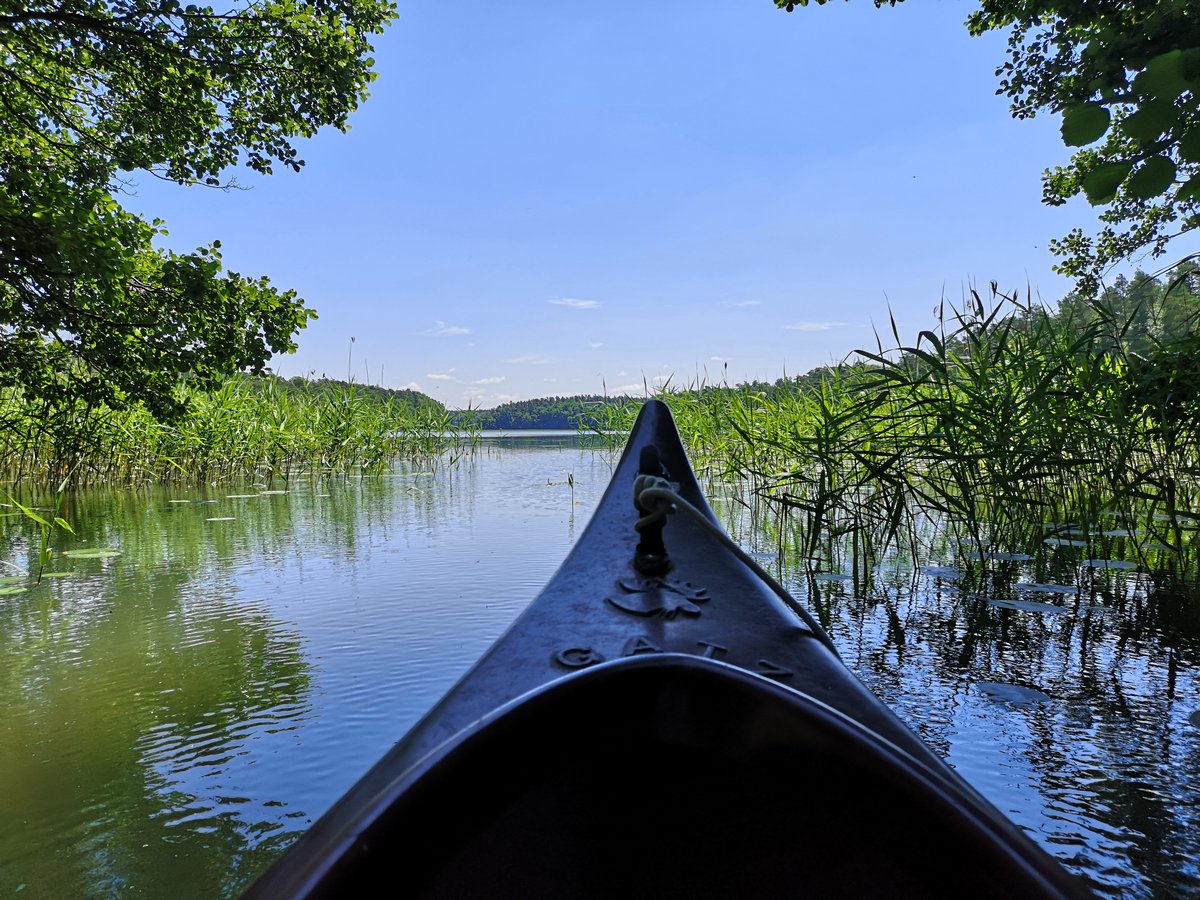 Uckermark_tmu's tweet photo. Lychen ist gemacht fürs Paddeln:
✓ Seen & stille Kanäle
✓ Bootspassage unter der Mühle – mit Rollen
✓ Verleih bei Treibholz
✓ Kuchen in der Kaffeemühle
✓ Eis am Marktplatz
Mehr unter: https://t.co/Wwav45exDe
#Lychen #Kanutour #Uckermark #Genusstipp #Uckermark_erleben https://t.co/IUws49nANj