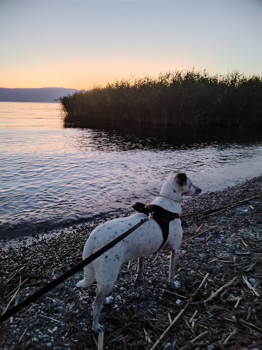 El (@earthling_el) on Twitter photo 