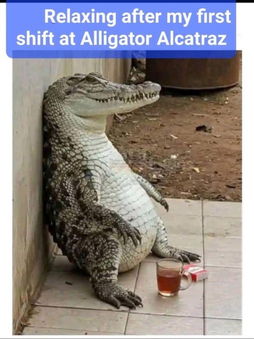 Ha ha