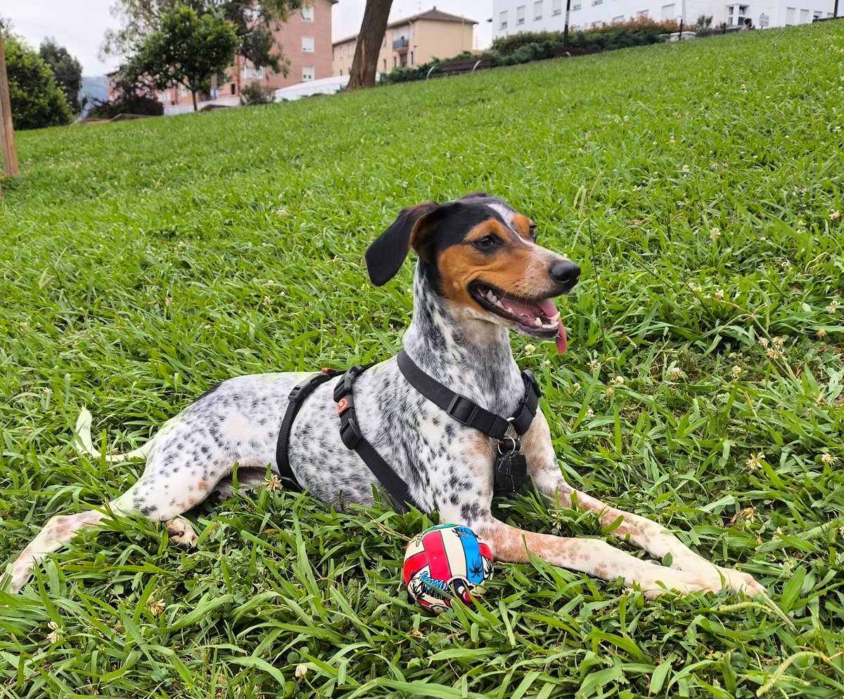 Xaretxo ta bere saria #Xare 💖