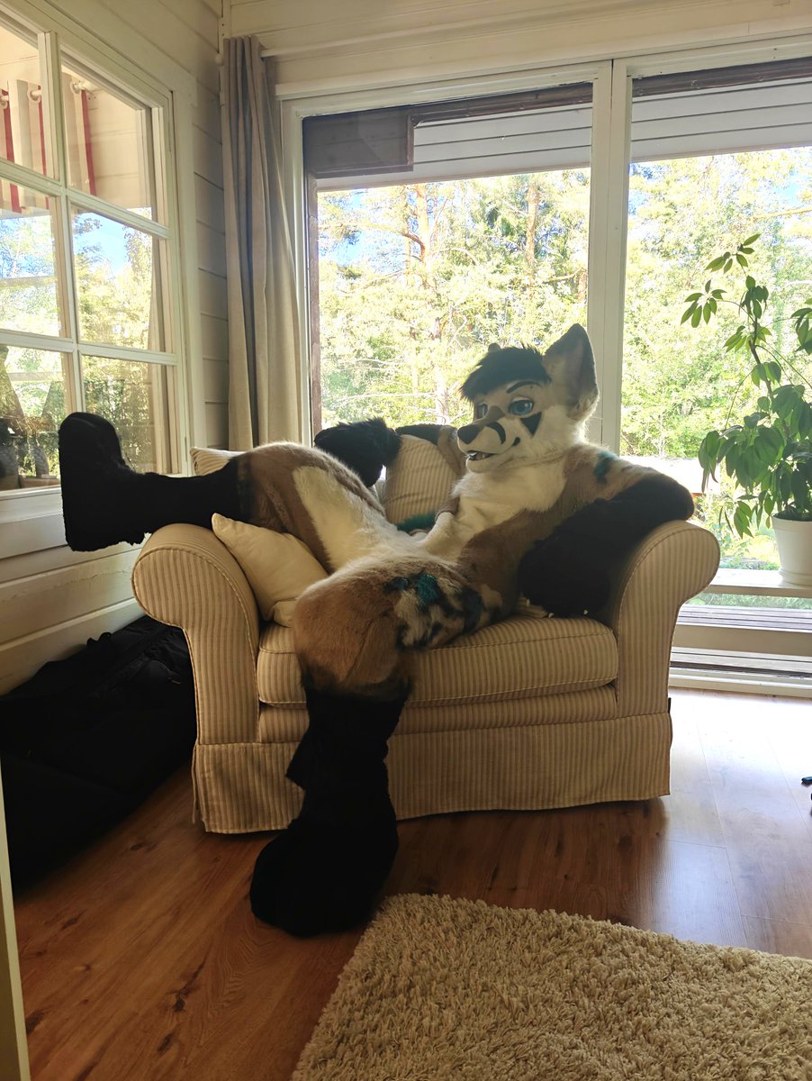 It's finally the weekend and the weather's finally warming up, so enjoy the weather and summer!

🦊: <a href="/ReynardFoxy/">Repo</a> trying a fullsuit for the first time :3
🪡: <a href="/Kloofsuits/">Kloofsuits</a>

#FursuitFriday #fursuit