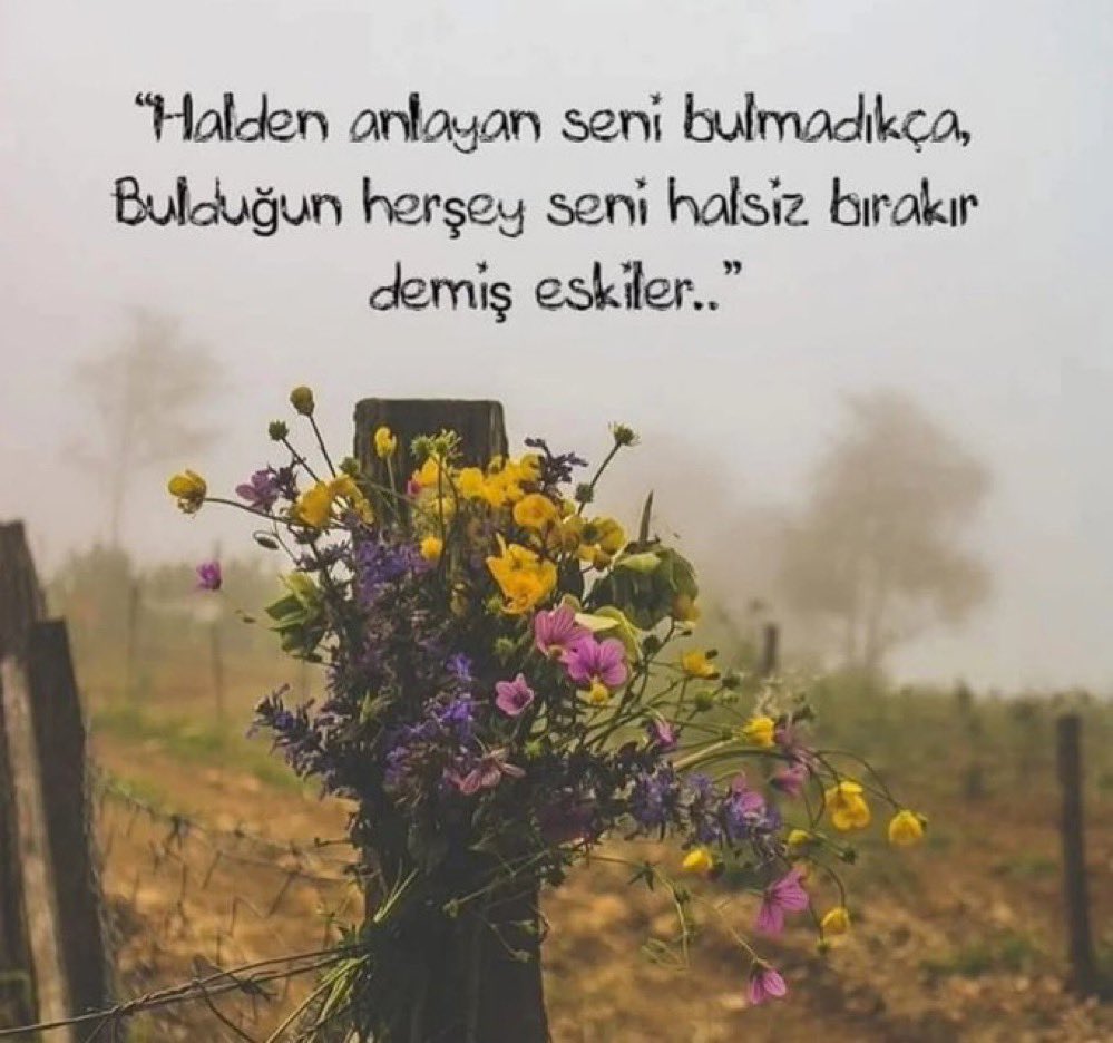 Bir halden anlamaz cahile, kul eyledi zaman beni dediği şairin.