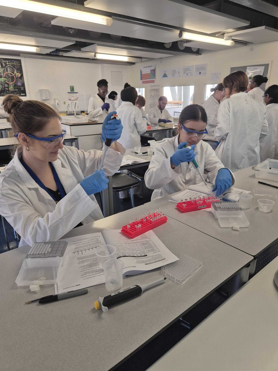 BridgeAcademyE2's tweet image. This week, Year 12 Biologists have been involved in the AMGEN Biotech Experience at school. They've been investigating genetic engineering, DNA analysis, PCR and microbiology. Their practical confidence has improved immensely as it was undergraduate level work.