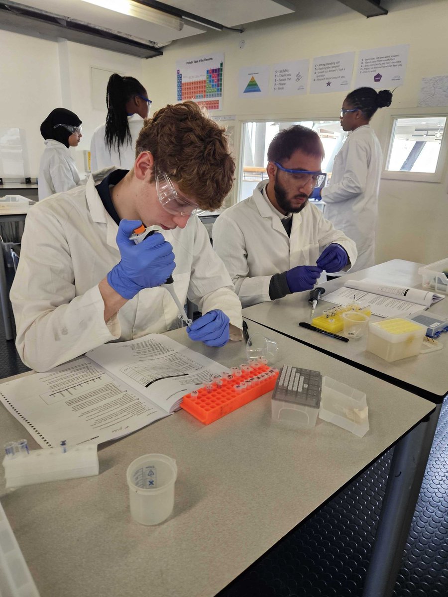 BridgeAcademyE2's tweet image. This week, Year 12 Biologists have been involved in the AMGEN Biotech Experience at school. They've been investigating genetic engineering, DNA analysis, PCR and microbiology. Their practical confidence has improved immensely as it was undergraduate level work.