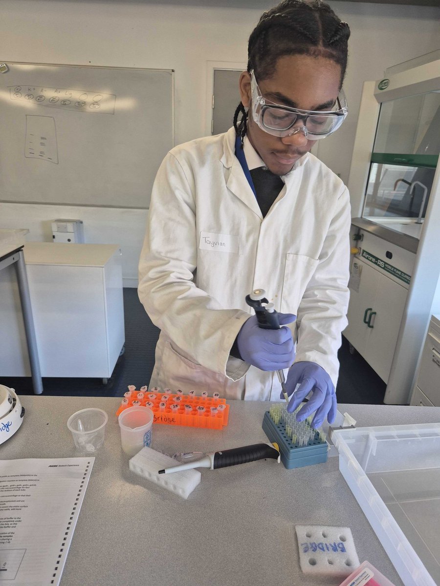 BridgeAcademyE2's tweet image. This week, Year 12 Biologists have been involved in the AMGEN Biotech Experience at school. They've been investigating genetic engineering, DNA analysis, PCR and microbiology. Their practical confidence has improved immensely as it was undergraduate level work.