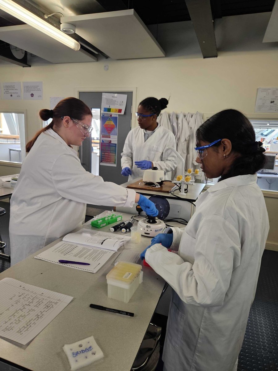BridgeAcademyE2's tweet image. This week, Year 12 Biologists have been involved in the AMGEN Biotech Experience at school. They've been investigating genetic engineering, DNA analysis, PCR and microbiology. Their practical confidence has improved immensely as it was undergraduate level work.