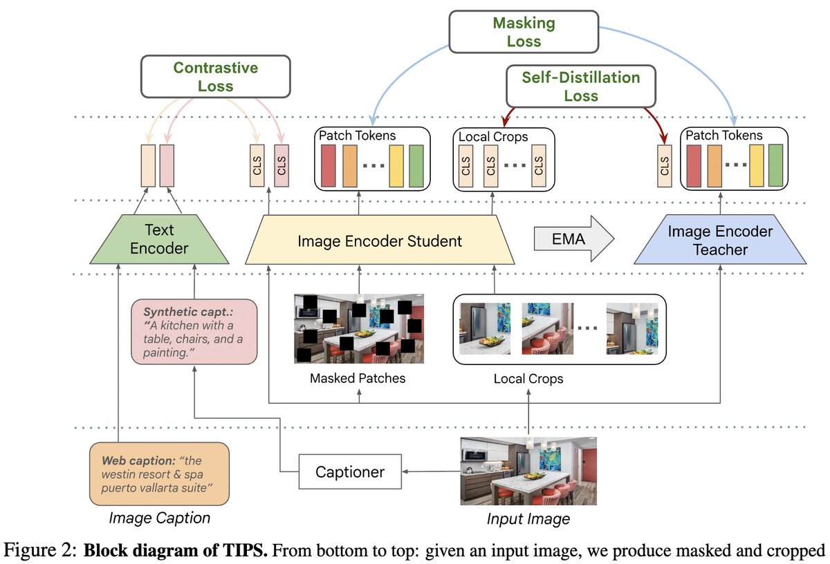 Gabriele Berton tweet media