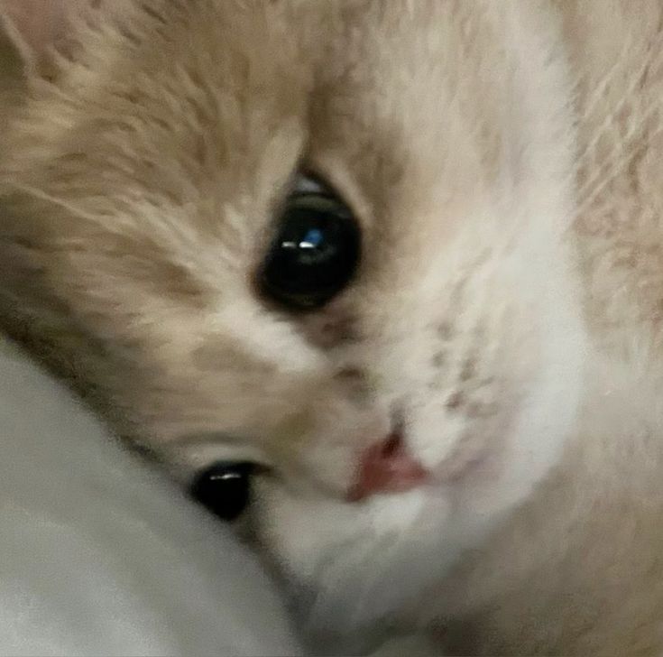 #Mebikinciİldışıhaktır
<a href="/Yusuf__Tekin/">Yusuf Tekin</a> <a href="/tcmeb/">Millî Eğitim Bakanlığı</a> <a href="/mebpgm/">Personel Genel Müdürlüğü</a> <a href="/TRogretmen/">Öğretmen TR 🇹🇷</a> <a href="/ogretmenlersyfs/">Öğretmenler Sayfası</a> <a href="/sorogretmenim/">Sor Öğretmenim</a> <a href="/ogretmensitemiz/">Öğretmen</a> <a href="/ogretmensenn/">Öğretmen Mücadele Platformu(ÖMP)</a> <a href="/sari_okul/">sariokul</a> <a href="/ogretmenailesi1/">Öğretmen Ailesi</a> <a href="/edipuzen/">Edip Üzen</a> <a href="/talatyavuz29/">Talat YAVUZ</a>
Müjde bekleyen öğretmenler olarak günlerdir burdayız tatil yapamiyoruz