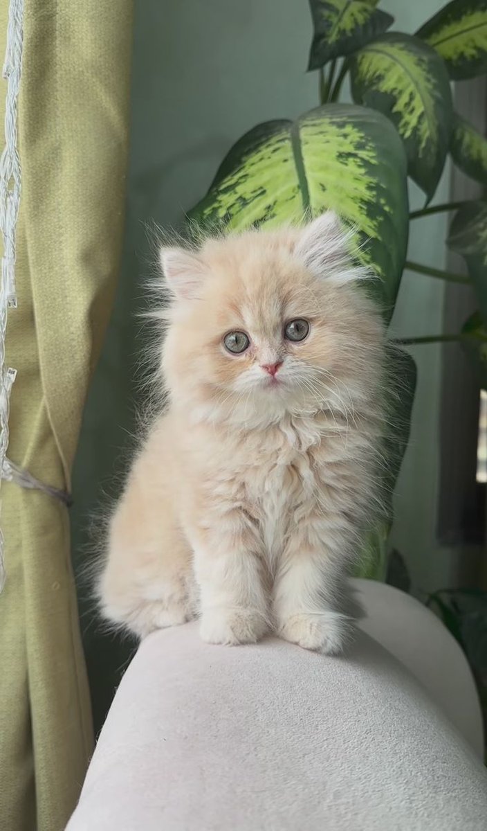 #Mebikinciİldışıhaktır
<a href="/Yusuf__Tekin/">Yusuf Tekin</a> <a href="/tcmeb/">Millî Eğitim Bakanlığı</a> <a href="/mebpgm/">Personel Genel Müdürlüğü</a> <a href="/TRogretmen/">Öğretmen TR 🇹🇷</a> <a href="/ogretmenlersyfs/">Öğretmenler Sayfası</a> <a href="/sorogretmenim/">Sor Öğretmenim</a> <a href="/ogretmensitemiz/">Öğretmen</a> <a href="/ogretmensenn/">Öğretmen Mücadele Platformu(ÖMP)</a> <a href="/sari_okul/">sariokul</a> <a href="/ogretmenailesi1/">Öğretmen Ailesi</a> <a href="/edipuzen/">Edip Üzen</a> <a href="/talatyavuz29/">Talat YAVUZ</a>
Müjde bekliyoruz