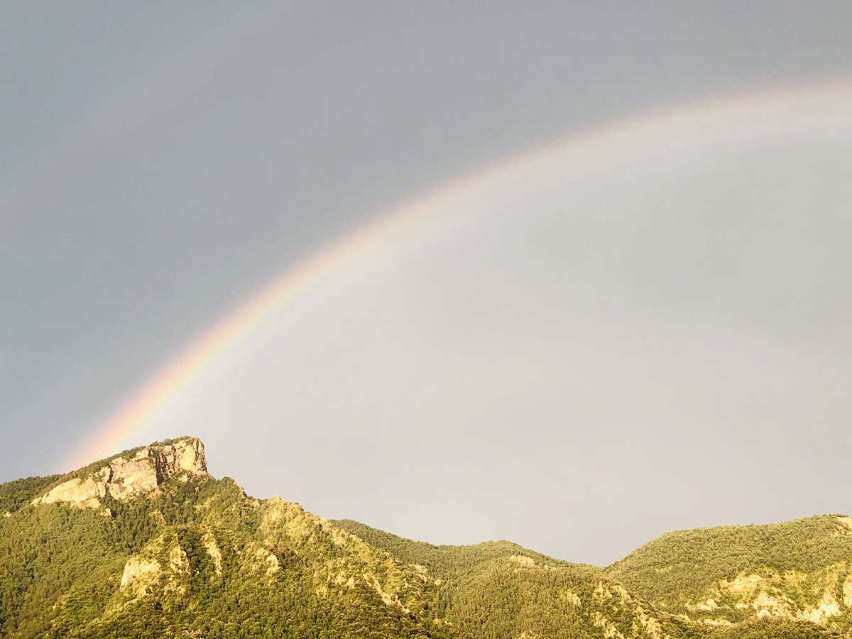 Montse Venturós tweet media