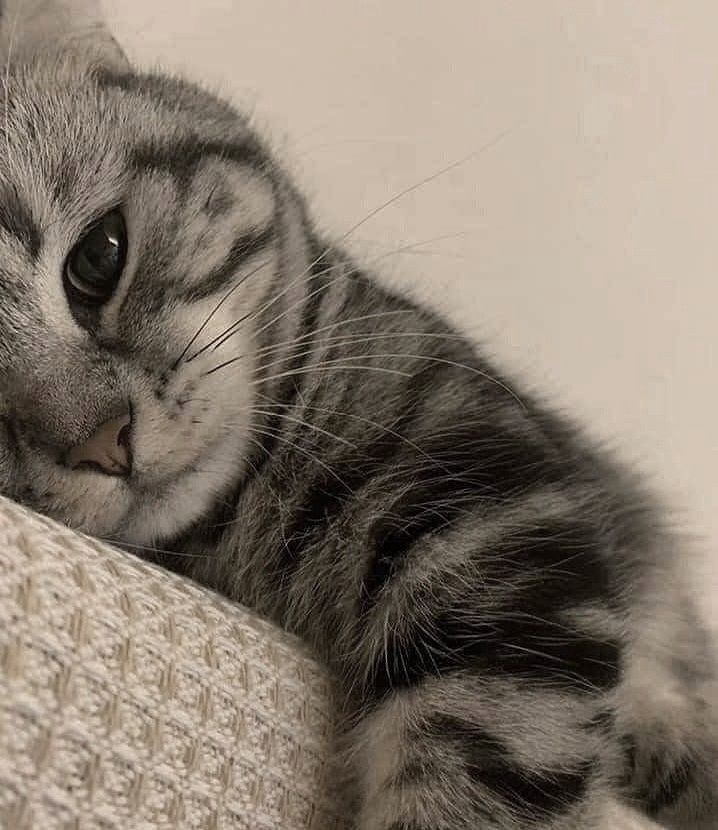 #Mebikinciİldışıhaktır
<a href="/Yusuf__Tekin/">Yusuf Tekin</a> <a href="/tcmeb/">Millî Eğitim Bakanlığı</a> <a href="/mebpgm/">Personel Genel Müdürlüğü</a> <a href="/TRogretmen/">Öğretmen TR 🇹🇷</a> <a href="/ogretmenlersyfs/">Öğretmenler Sayfası</a> <a href="/sorogretmenim/">Sor Öğretmenim</a> <a href="/ogretmensitemiz/">Öğretmen</a> <a href="/ogretmensenn/">Öğretmen Mücadele Platformu(ÖMP)</a> <a href="/sari_okul/">sariokul</a> <a href="/ogretmenailesi1/">Öğretmen Ailesi</a> <a href="/edipuzen/">Edip Üzen</a> <a href="/talatyavuz29/">Talat YAVUZ</a>
 2 ildisi atama müjdesi