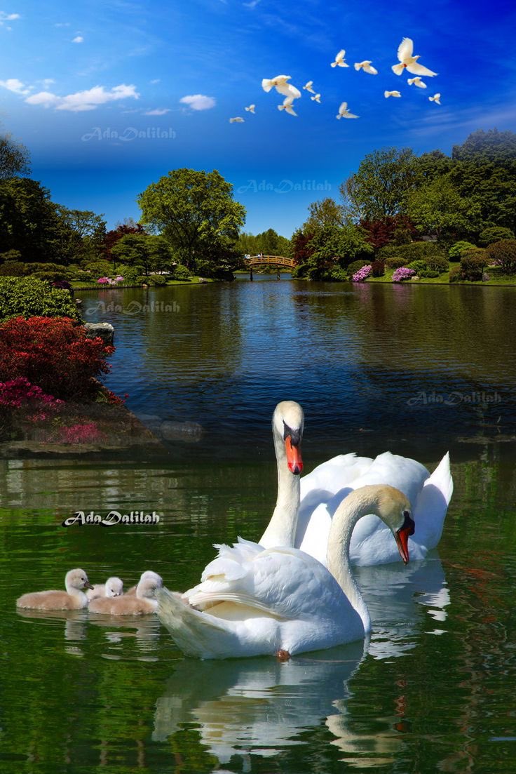 <a href="/oh_laa_laa/">💞 𝒲ℋℐ𝒮𝒫ℰℛ 💞( 𝓐𝓵 ) 🥰</a> <a href="/bdonesem/">💞 𝔀𝓱𝓲𝓼𝓹𝓮𝓻 💞 ( ‏𝓐𝓵 ) 😘</a> 

Great find!  Thank you for posting.  They get all excited before the truth comes out.

Appreciate the time you spend searching for these gems to share with us.

💫⭐️❤️👉 <a href="/bdonesem/">💞 𝔀𝓱𝓲𝓼𝓹𝓮𝓻 💞 ( ‏𝓐𝓵 ) 😘</a> 👈❤️⭐️💫

        💫⭐️❤️  👉  <a href="/oh_laa_laa/">💞 𝒲ℋℐ𝒮𝒫ℰℛ 💞( 𝓐𝓵 ) 🥰</a>   👈❤️⭐️💫

💞Dolly💞