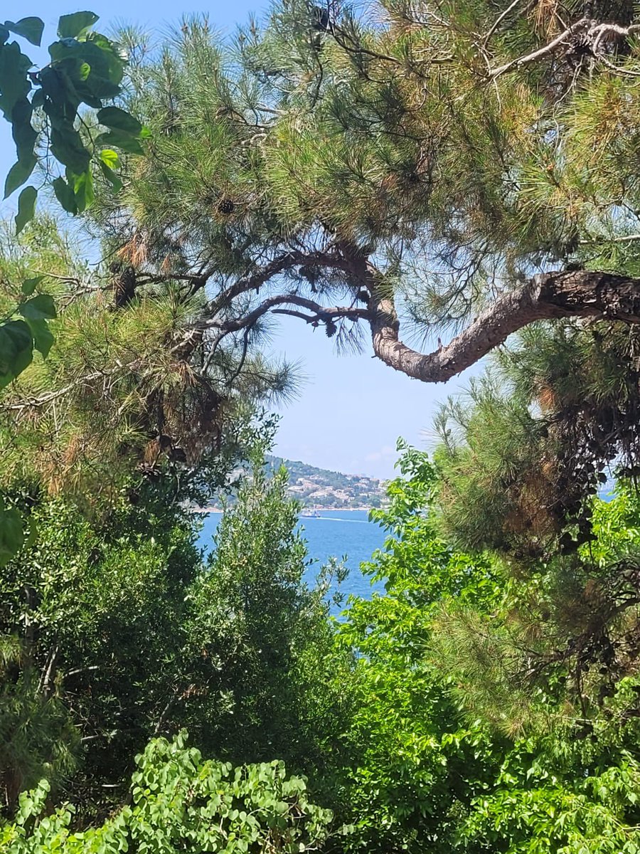 “Alt tarafı bir çiçek koklayıp, bir hayvan sahiplenip, birkaç insan tanıyıp, sevip gidecektik bu dünyadan. 
Nasıl kötü bir zamana denk geldi ömrümüz..
Vicdansızların, sapıkların, katillerin, nefretin, cehaletin ortasına düştük!"