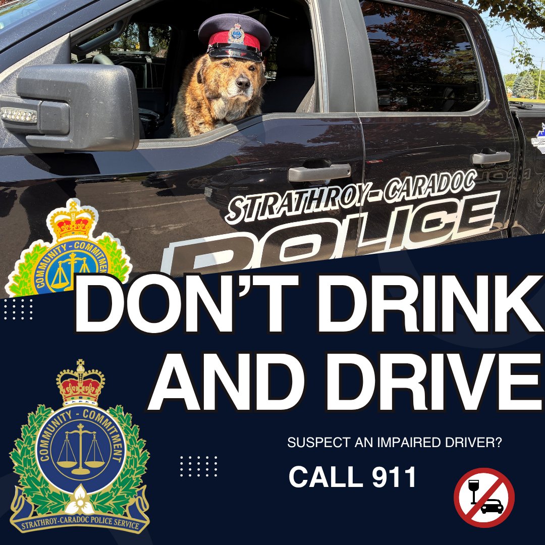 🌞🔥 HOT weekend ahead — Ribfest, Pride in the Park &amp; backyard drinks!

🐾 Honorary Police Pup Fable says: “If you’re drinking, don’t drive. I may be cute, but I take impaired driving seriously.”

👮‍♀️ SCPS is on paw-trol!

#PlanYourRide #FableOnPawtrol #SCPS