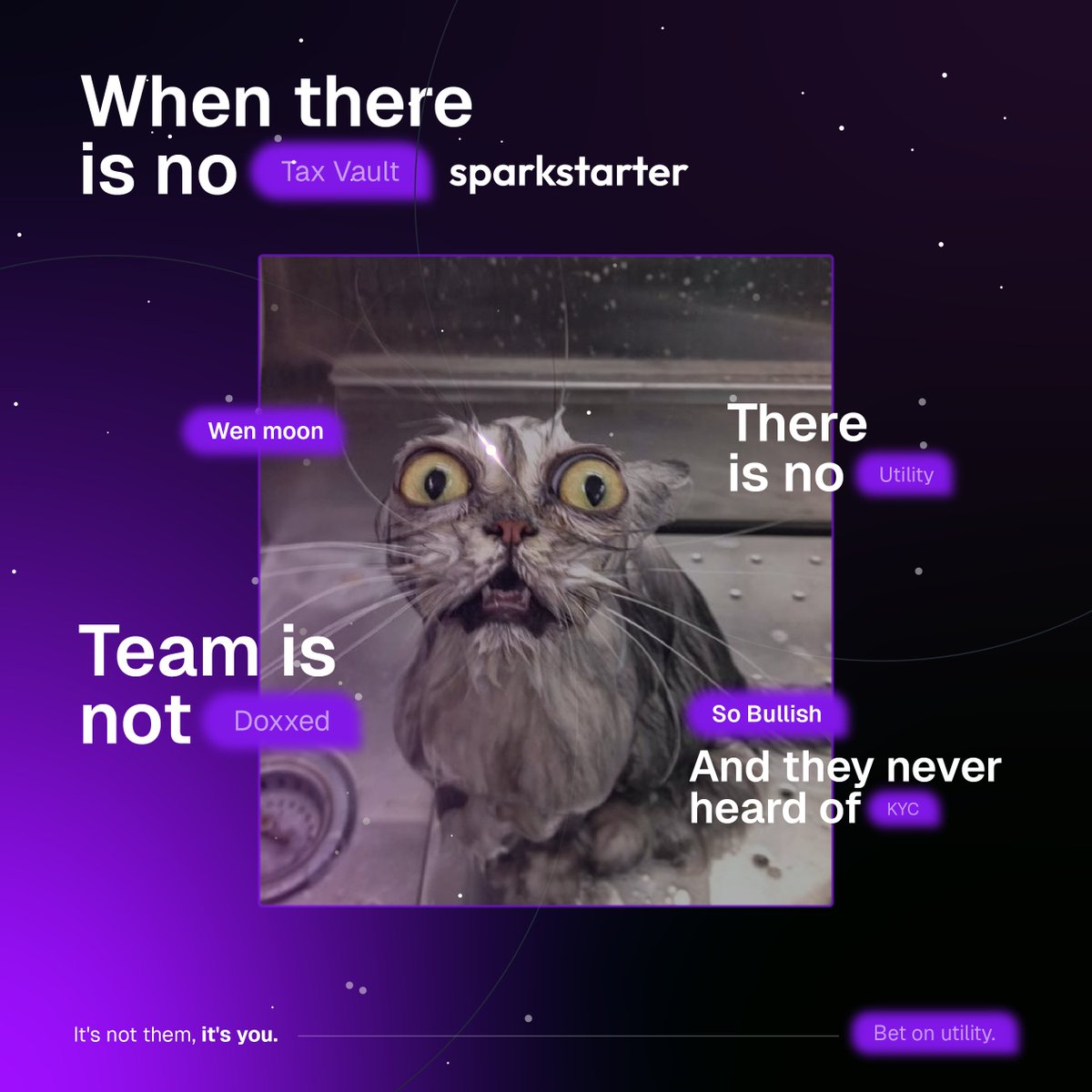 Thursday check-in:

You just aped into a token with no vault, no team, no plan, no clue.

But hey, the Telegram was “so bullish” and the cat meme slapped.

(Well, our memes do, because they’re backed by something real. Know the difference.)

Here are some 🚩 red flags:

• No