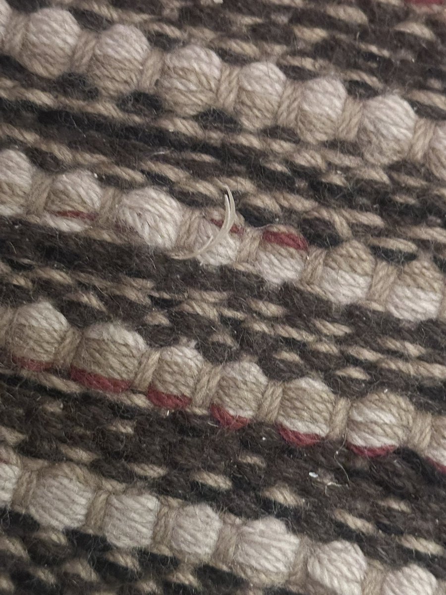 Cholanails's tweet photo. Just checked in last night to the @VirginHotelsLV and our room was so dirty so disappointing since it’s our first time here. A toenail on the carpet!!! 🤮 https://t.co/jUMgorLkMg