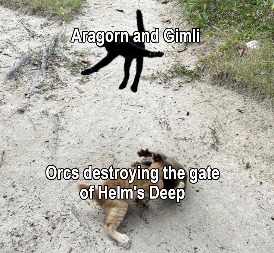 Lord of the Rings Memes (@thelotrmemes) on Twitter photo 