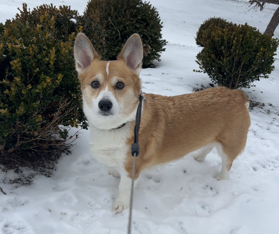 🩷 Holly 🩷 tweet media