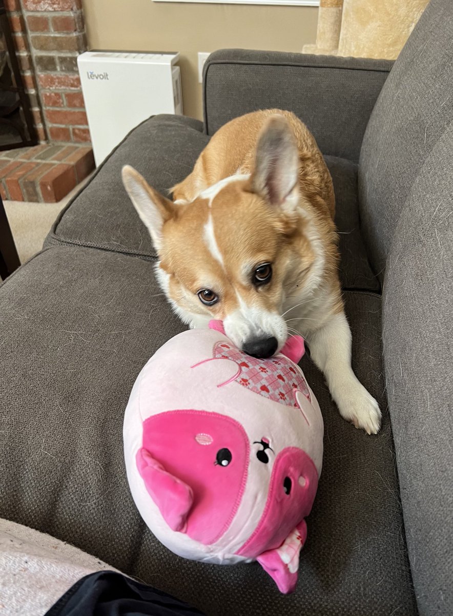 🩷 Holly 🩷 tweet media