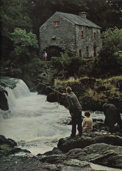 Kiefer_Wool's tweet image. 
