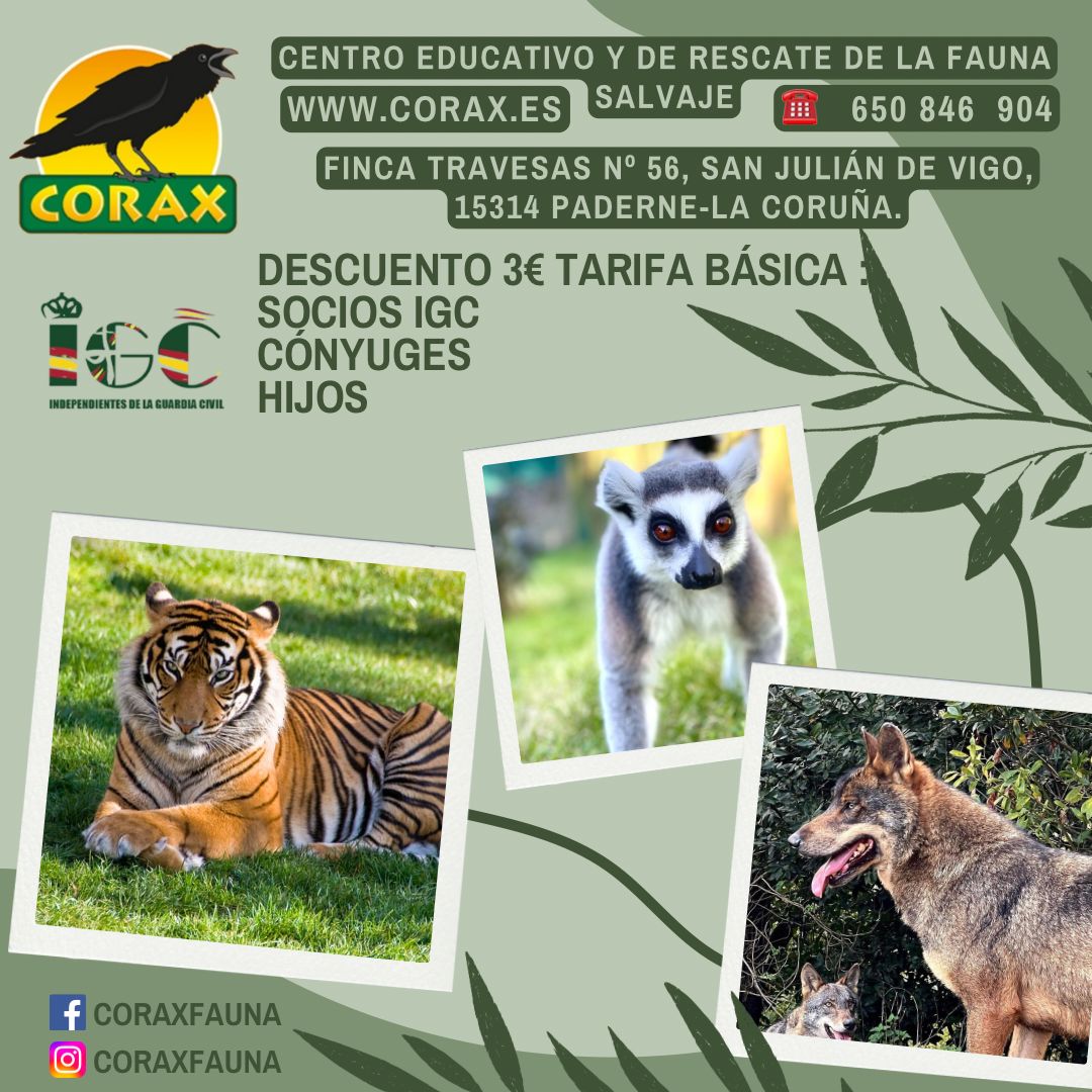 IGCFormacionyAS's tweet image. Os gustan los animales a ti y a tu familia? Si encima eres de IGC puedes aprovechar esa buena oferta para pasar todos un día estupendo disfrutando de ellos.
#IGC #TuEresIGC #corax
