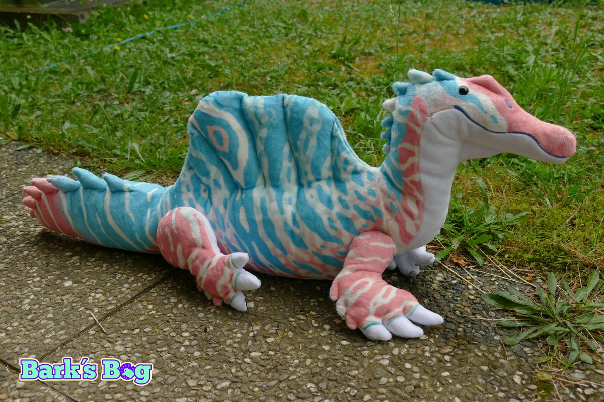 i have two trans pride spinos looking for a home