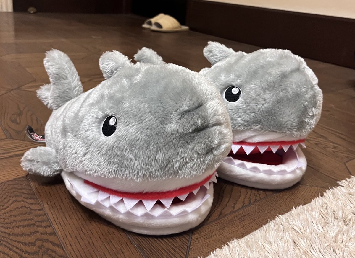 ヴィレヴァンはいいゾ〜
660円やで
これが
#ヴィレッジヴァンガード #サメ