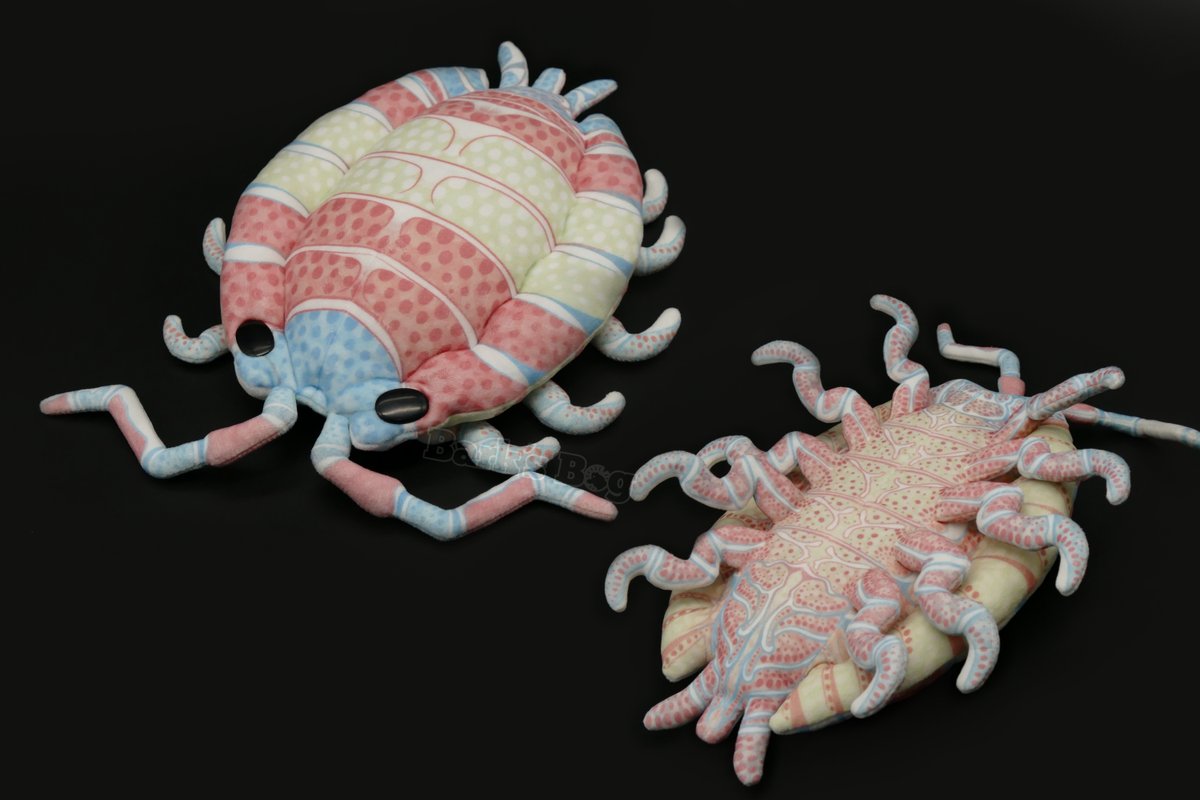 🏳️🌈 Bark´s Bog - 20% off all plushies 🏳️⚧️ tweet media