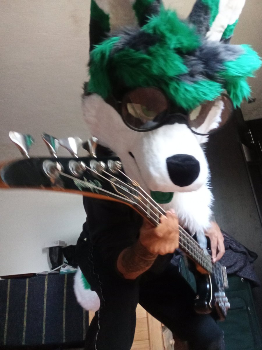 harmun7u7's tweet photo. Volveré a retomar el bajo, lo abandone siendo una de mis grandes pasiones, quedaron peponas las fotitos para el #FursuitFriday 
Gracias por su atención uvu
#Fursuits #fursuiter #FursuitEverday https://t.co/EQblzXS7bi