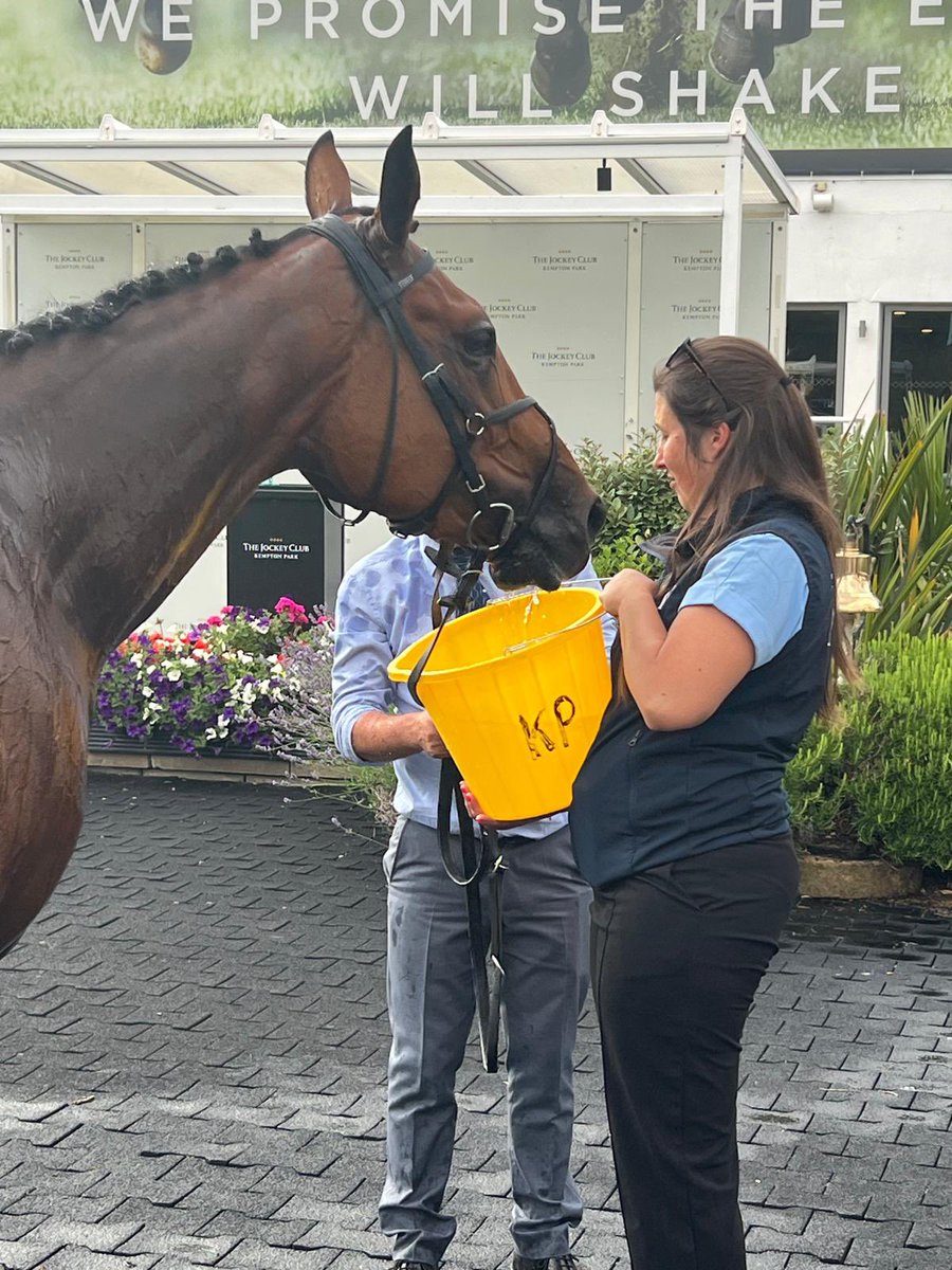 Crest Racing (@crestracing1) on Twitter photo Worthy drink for Kind Of Kiss finishing second <a href="/kemptonparkrace/">Kempton Park Racecourse</a> for <a href="/kpfracing/">Kevin Philippart de Foy Racing</a>
Great night for all owners.
Much more to come 🤞 Worthy drink for Kind Of Kiss finishing second <a href="/kemptonparkrace/">Kempton Park Racecourse</a> for <a href="/kpfracing/">Kevin Philippart de Foy Racing</a>
Great night for all owners.
Much more to come 🤞
