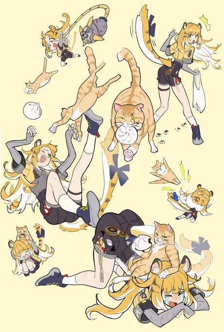 激闘(?)橘福福VSねこ