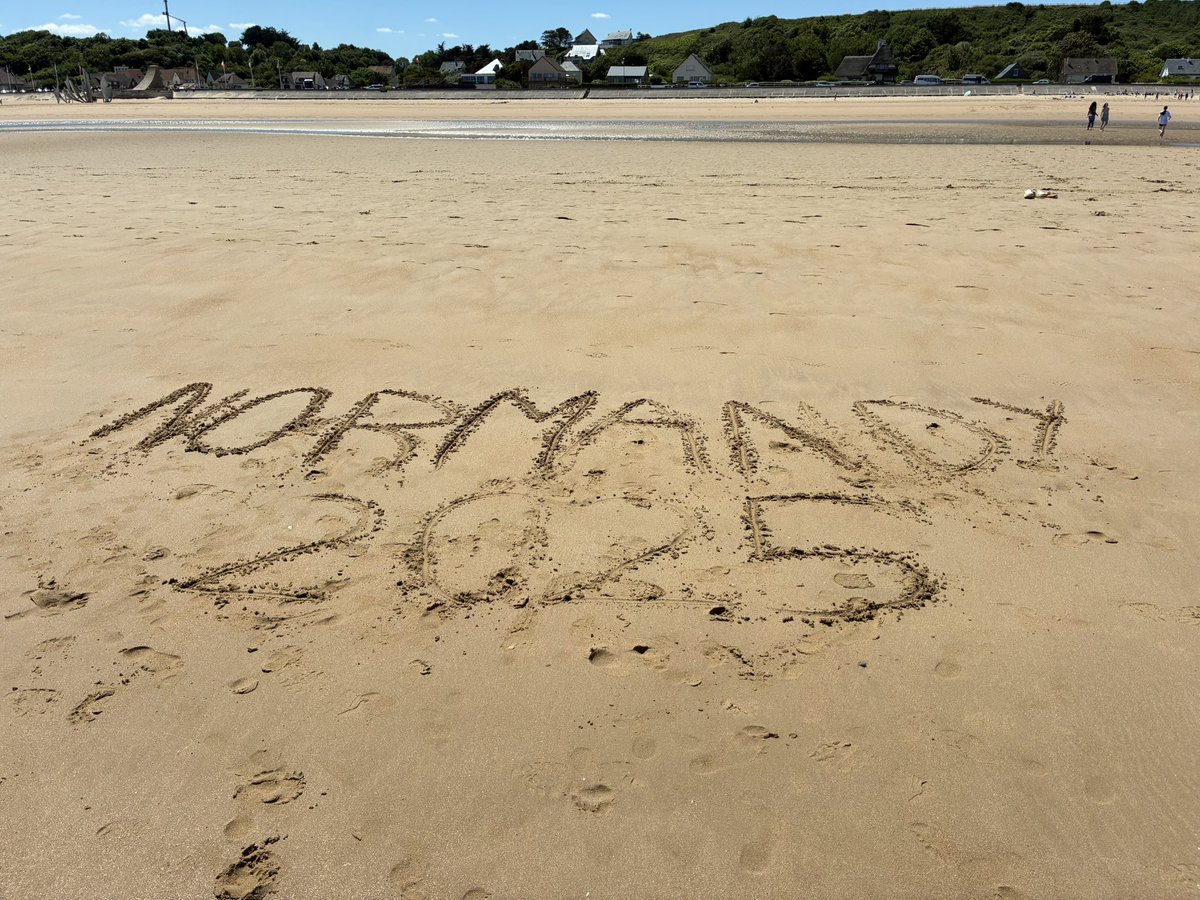 Ripley Languages tweet media