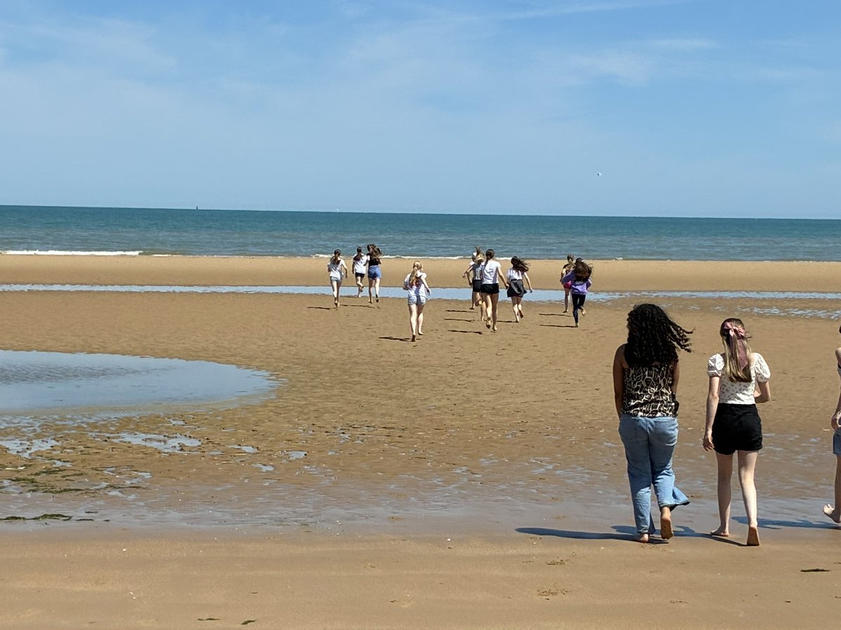 Ripley Languages tweet media