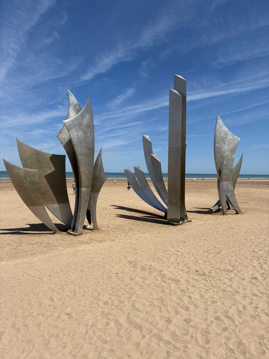 Ripley Languages tweet media