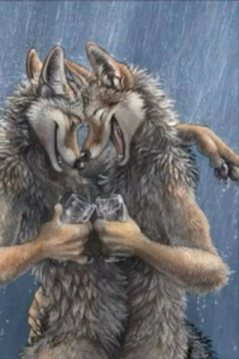 العلاقة بين دموعي وسؤال "شفيك"