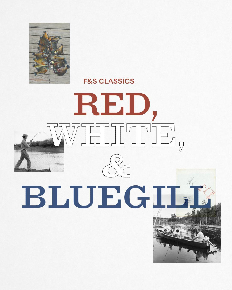 FieldandStream's tweet image. We’re raising a rod to the true all-American fish: the panfish. Native to our waters and passed down through generations, they’re bobber-twitching, skillet-sizzling perfection.

Celebrate the red, white, and bluegill 🇺🇸

#FieldandStream #FourthOfJuly #America