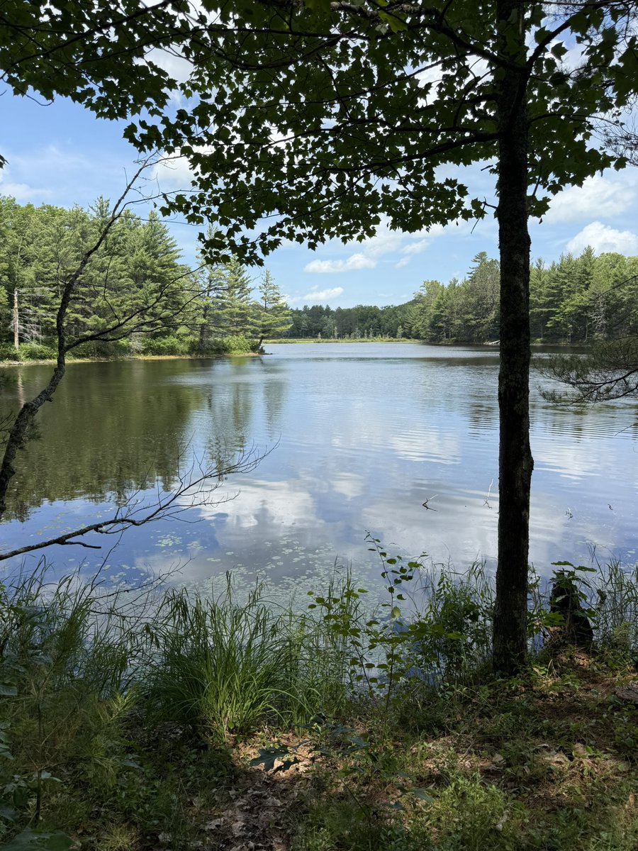 Happy birthday America!  🦅🇺🇸