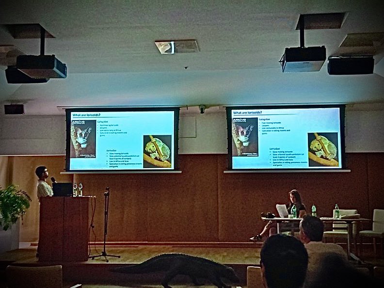 Another successful <a href="/EAVPalaeo/">EAVP</a> meeting in #Kraków 🇵🇱! Great discussions and always a pleasure to reconnect with colleagues! 🐒🐊🦖
