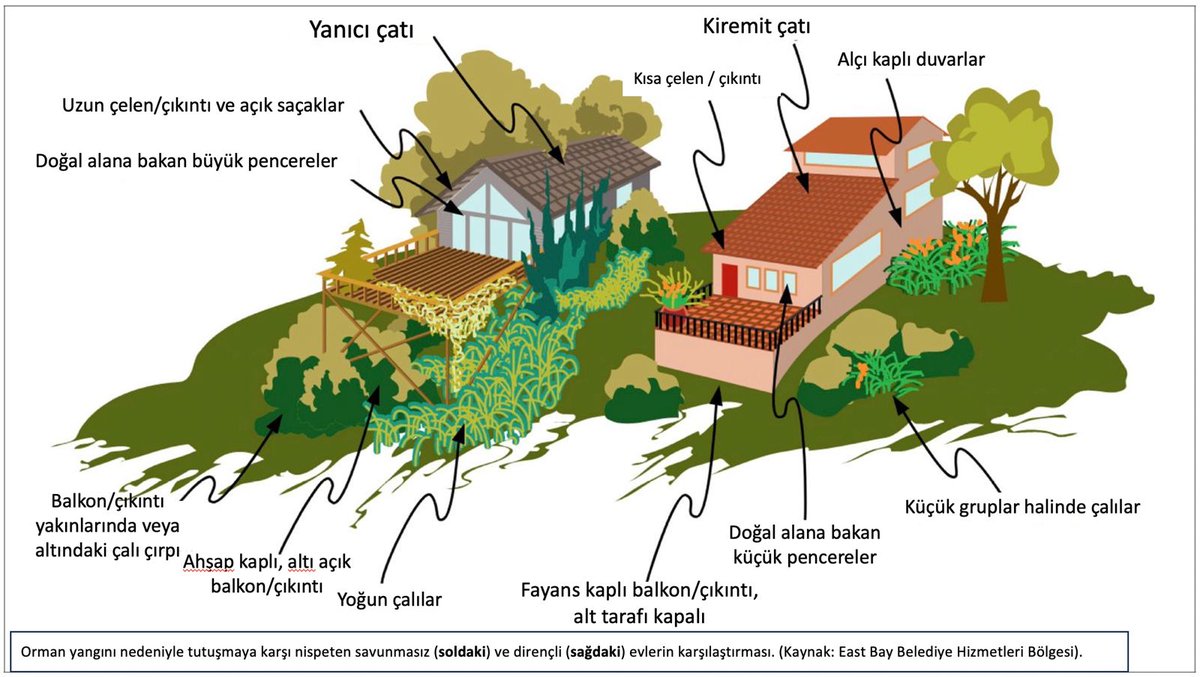 NaturaDoga's tweet image. 🔥 Yangın Riskini Azaltmak Elimizde! 
 Ormanlar ve diğer bitki örtüleri sürekli büyür. Bu doğal döngü, zamanla yakıt yükünü artırır ve yangın riskini kalıcı hale getirir.  🏡 Eğer ormanlık bir alan yakınında yaşıyorsanız, yakıt yönetimi eviniz için sürekli bir görev halini almalı