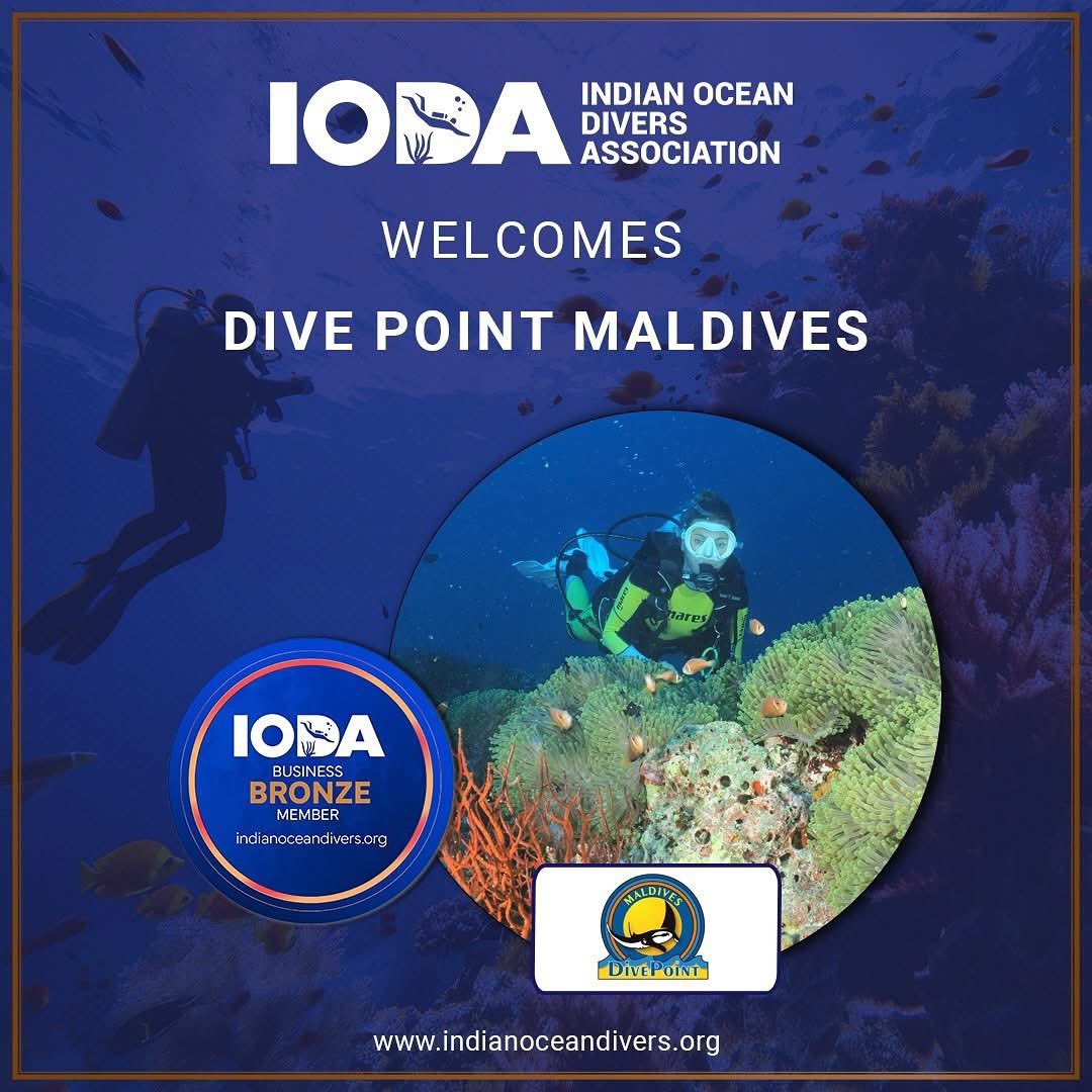 IODA welcomes Dive Point Maldives to this exciting journey.

Indian Ocean Divers Association  is more than just a community of divers, it is a movement dedicated to preserving the rich marine biodiversity of the Indian Ocean, promoting responsible and sustainable dive tourism.