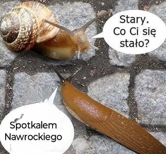 Grażyna Miziuła Gracja (@gmiziula) on Twitter photo 