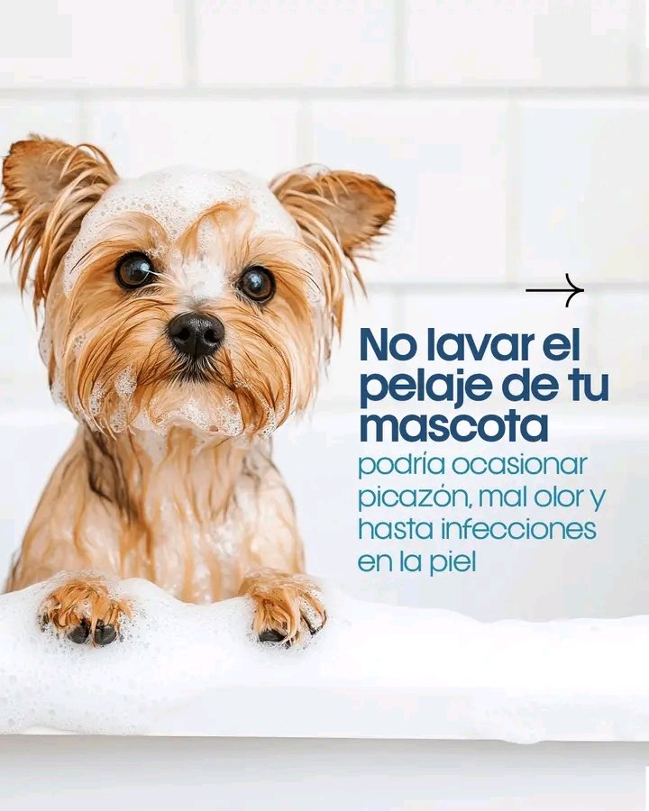 novaempresario's tweet photo. ★ ◕ᴗ◕® https://t.co/DlOodnYCpU